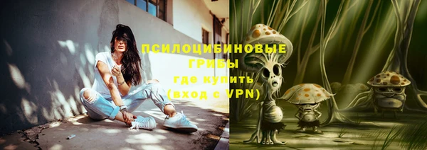 дмт Алзамай