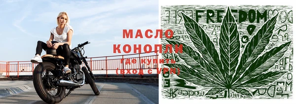дмт Алзамай
