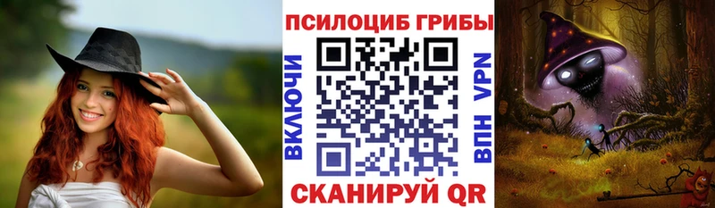 блэк спрут зеркало Балашов Галлюциногенные грибы Psilocybine cubensis