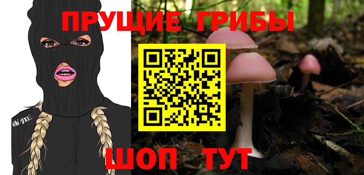 купить наркотик  Вход с VPN  Балашов  Галлюциногенные грибы MAGIC MUSHROOMS  Галлюциногенные грибы прущие грибы 